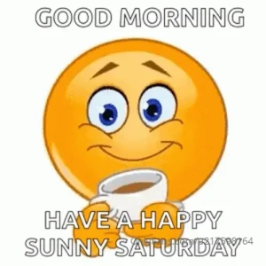 What are you up to this fine day