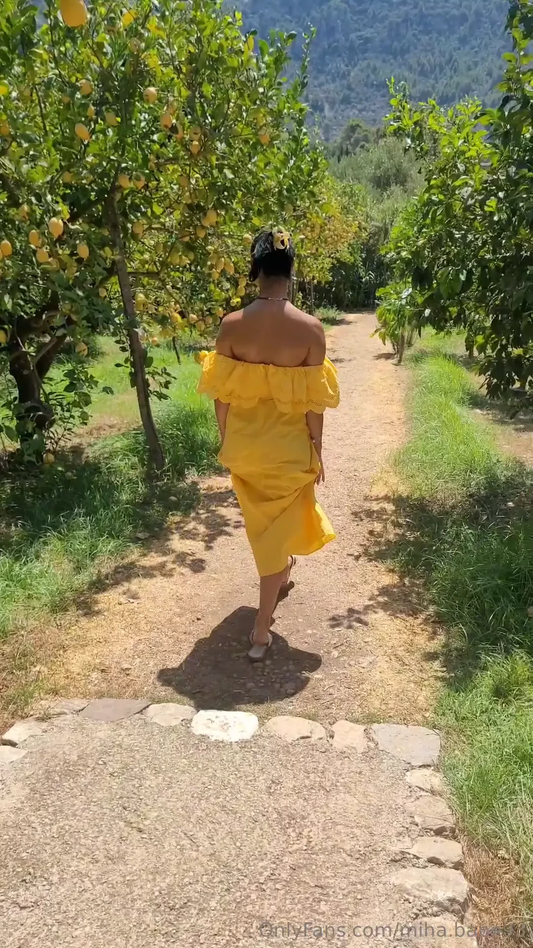 Came to an orange farm to see if there are prettier oranges than mine 