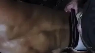 Good morning pigs and perverts make sure your auto renew os on 