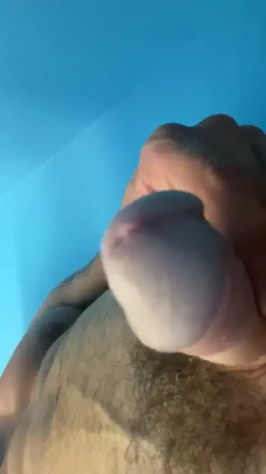 50 percent off sale hey horn bags cum join me sully-xxx power top and 
