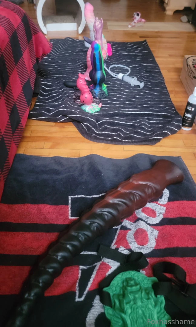 I filmed a gangbang with all my toys back to back the fan got the 