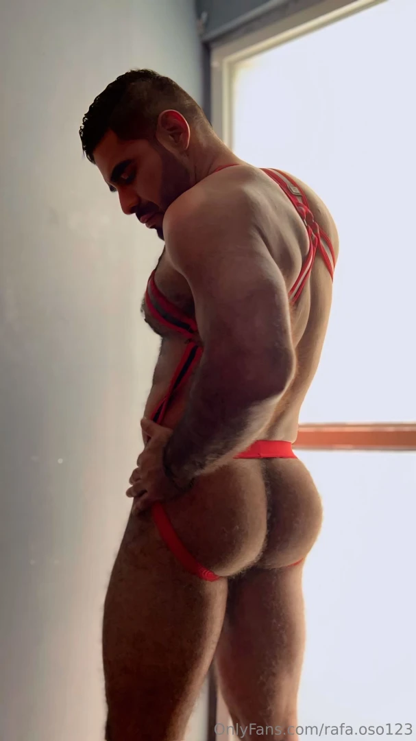 Les gustan est n fotos rafa oso123 