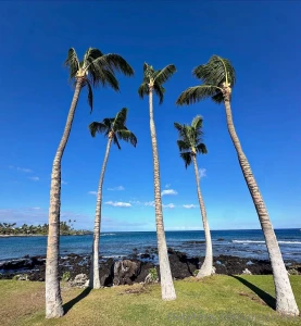 Thank you so much for the birthday gifts and tips sending you all lots