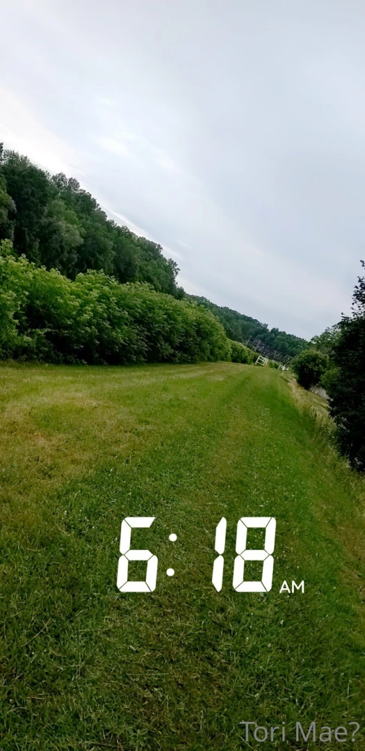 Went for an amazing fitness walk early this morning part 1 