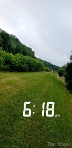 Went for an amazing fitness walk early this morning part 1