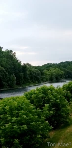 Went for an amazing fitness walk early this morning part 6