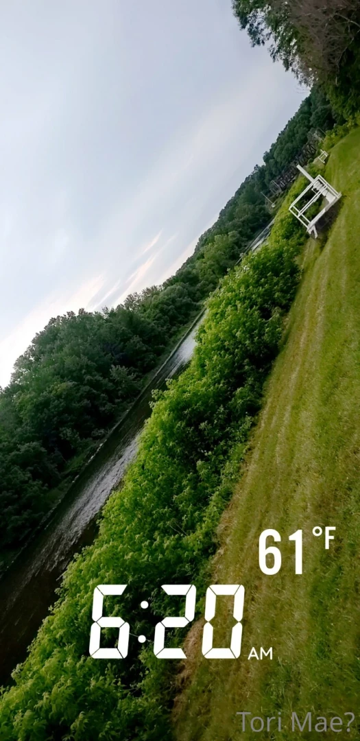 Went for an amazing fitness walk early this morning part 5 