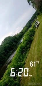 Went for an amazing fitness walk early this morning part 5