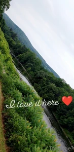 Went for an amazing fitness walk early this morning part 3