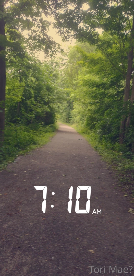 Went for an amazing fitness walk early this morning part 4 