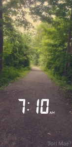 Went for an amazing fitness walk early this morning part 4