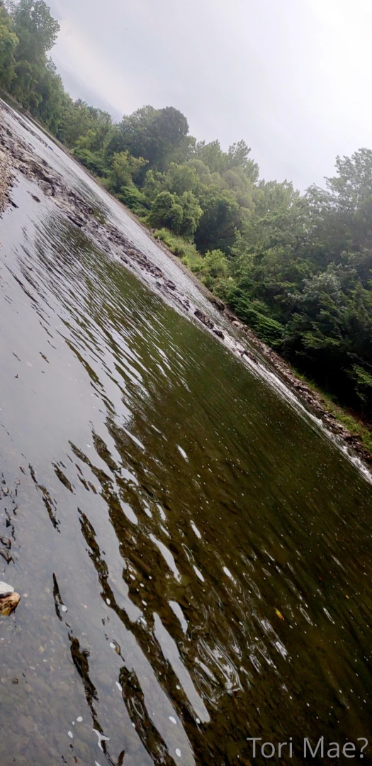 Went for an amazing fitness walk early this morning 