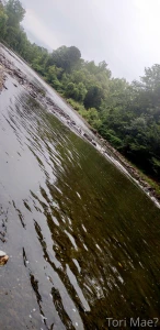 Went for an amazing fitness walk early this morning