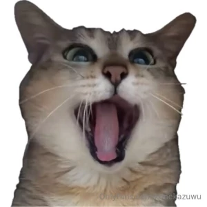 I will be responding to messages rn sowi if you feel left out please