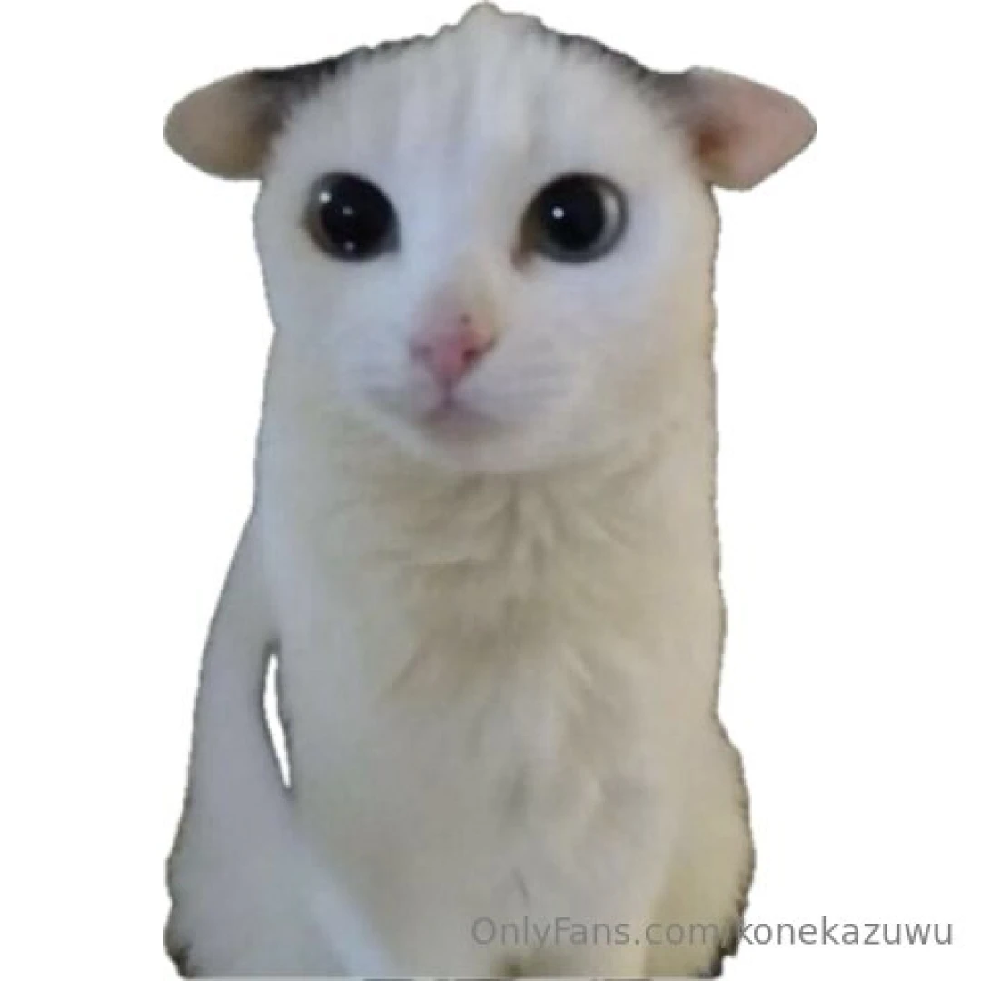 What up u guys so inactiv talk to me i has 0 attention yu no love me 