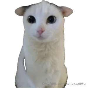 What up u guys so inactiv talk to me i has 0 attention yu no love me