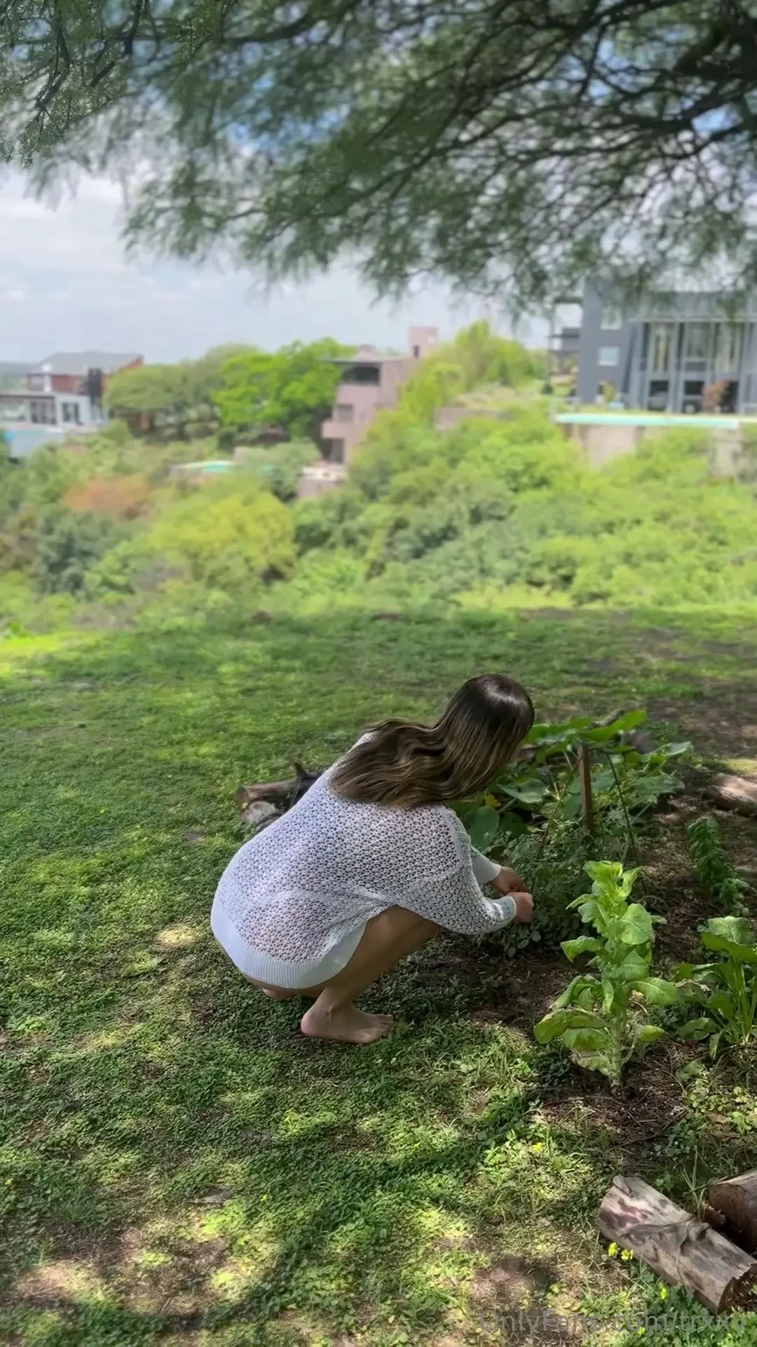 I love nature part 29 