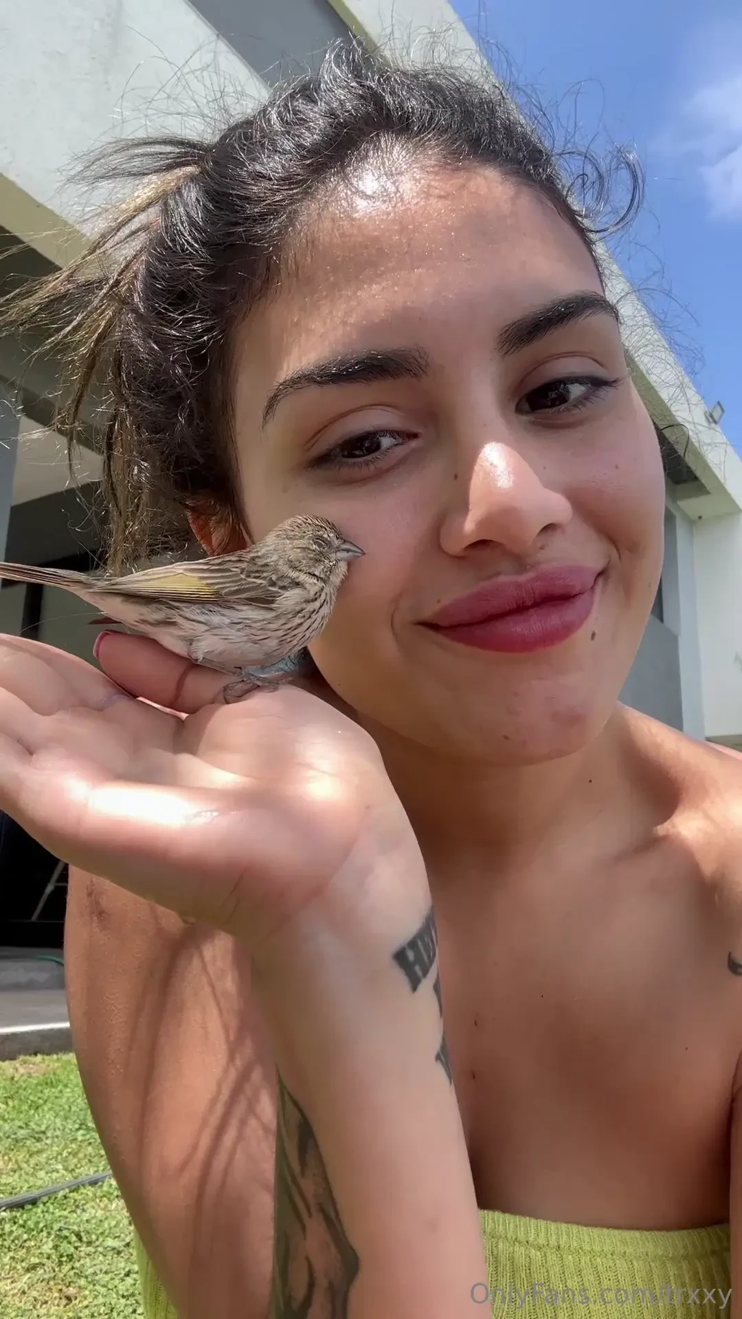 Say hello to my lil friend here 