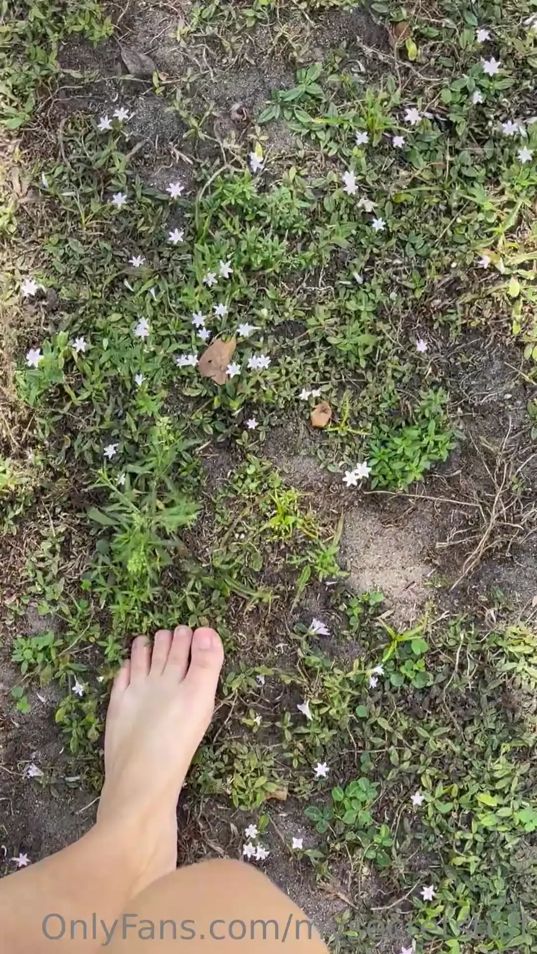 Walking on the grass with no shoes on feels so good my soles are so 