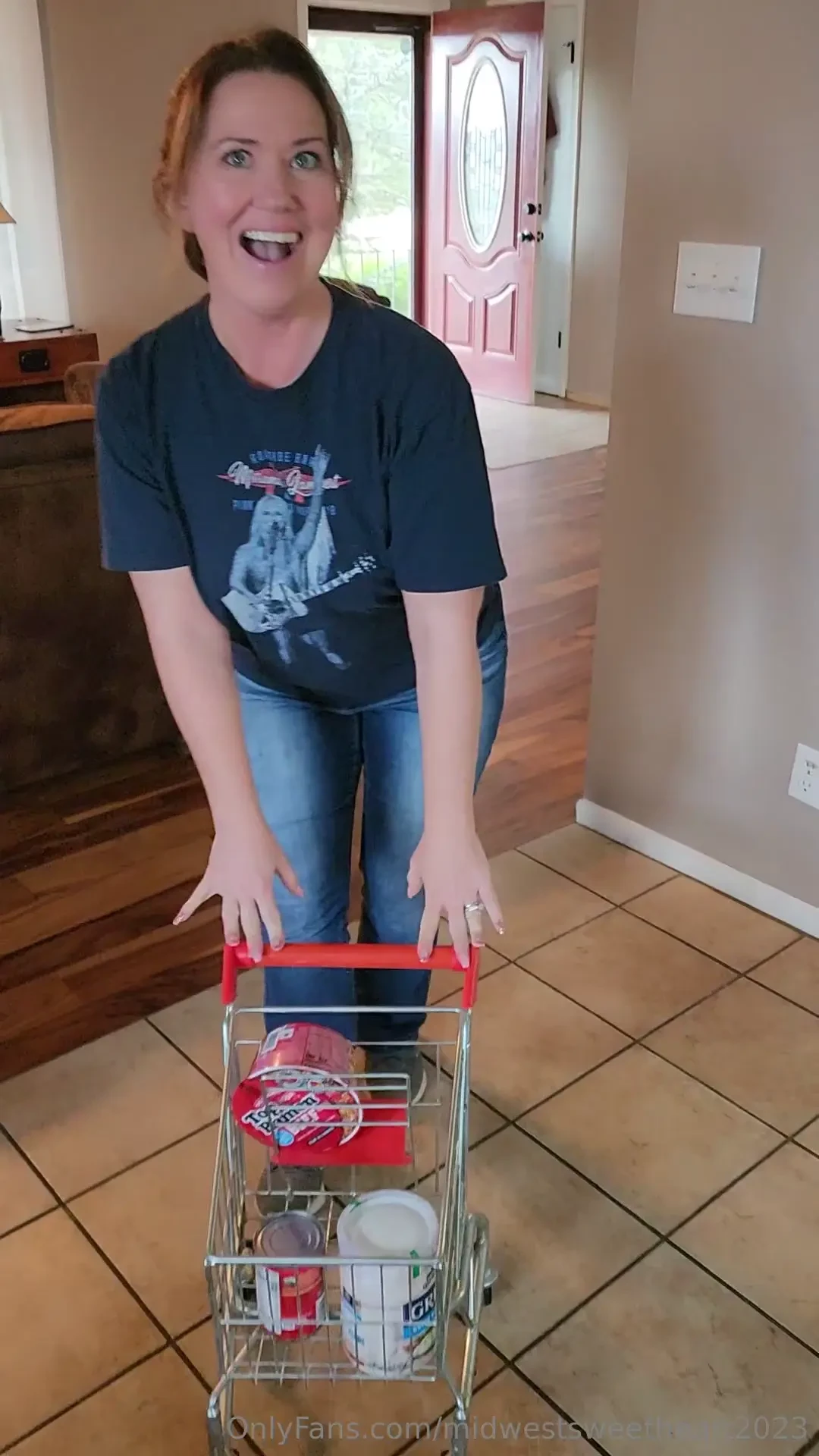 Our daughter brought home this tiny shopping cart and everyone thought 