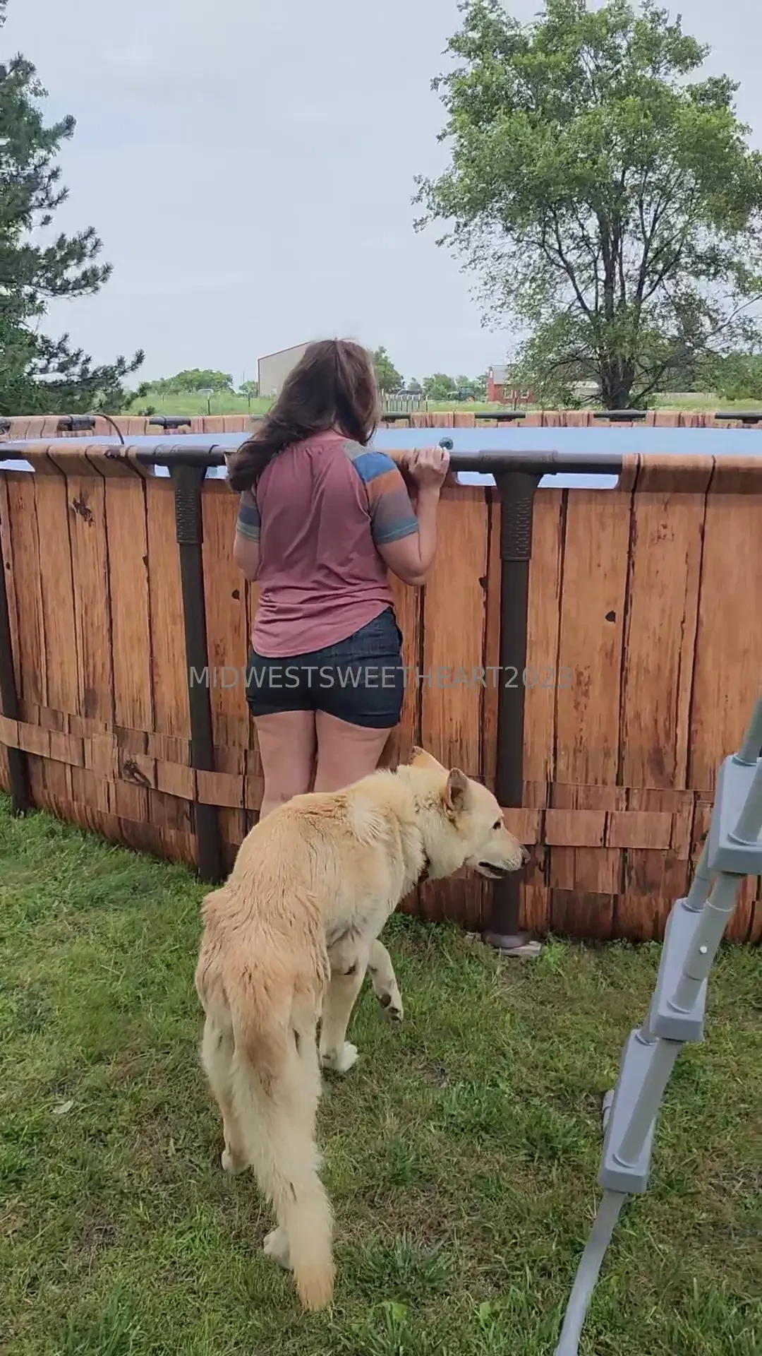 Just checking out our new pool we got yesterday can t wait for it to 