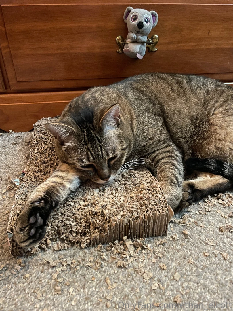 If you re seeing this you re helping take care of this lil guy 