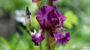 As the cover photo suggests today i have just a few boring photos for