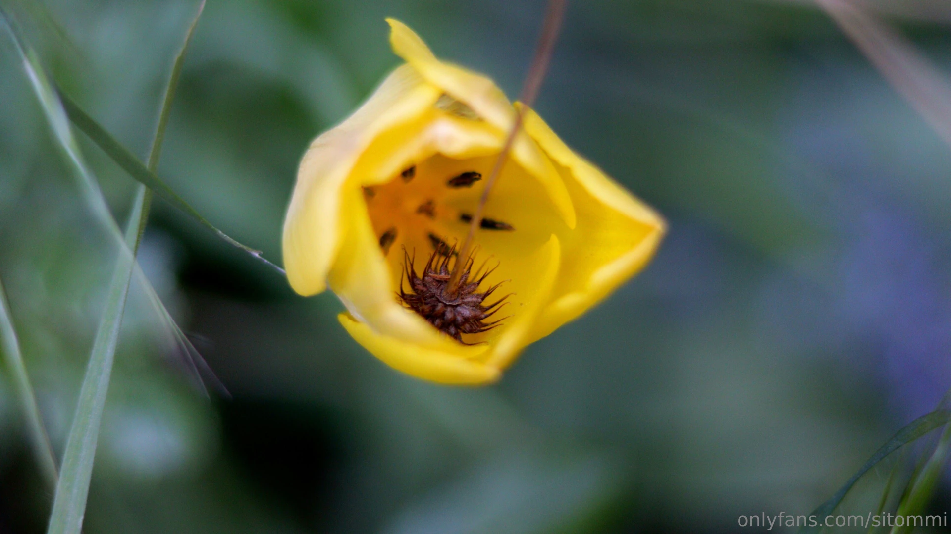 Hi have a nice thursday everyone last evening when i went home from 