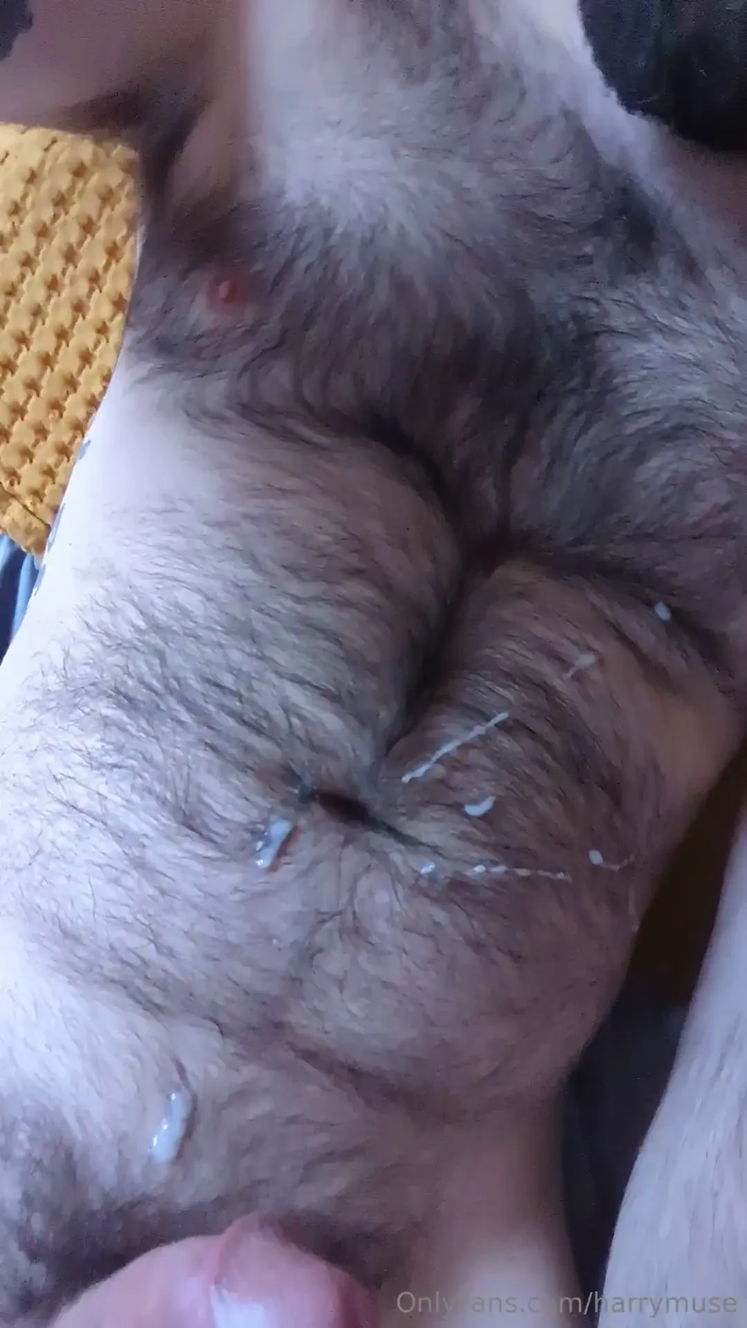 Beginning and the end 