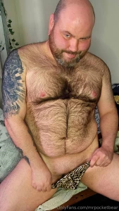 One bear vs 100 guys i d happily that all you guys have and i promise