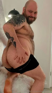 Big bear with a big attitude part 2