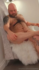 Big bear with a big attitude part 3