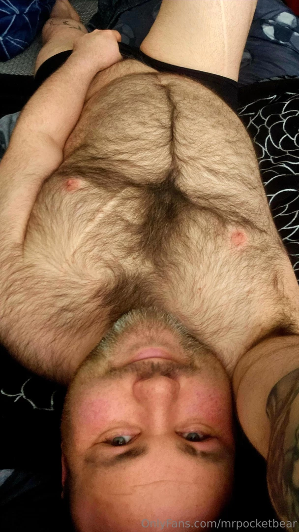 Furry goodness to brighten your day part 1 