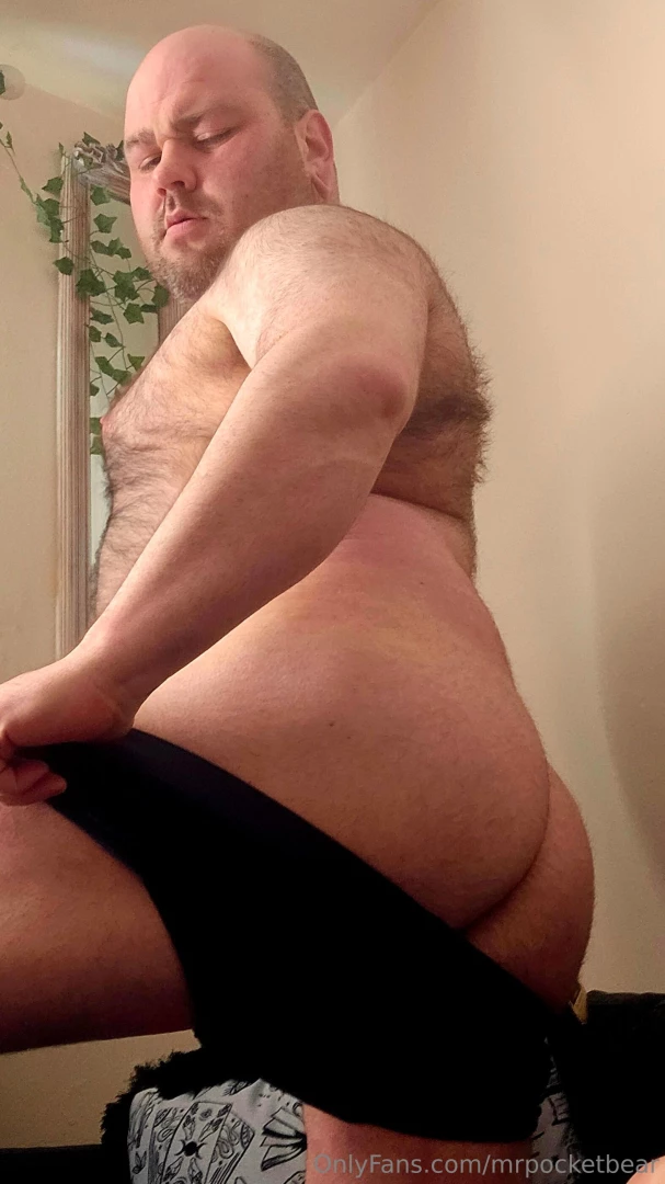 Furry goodness to brighten your day part 2 