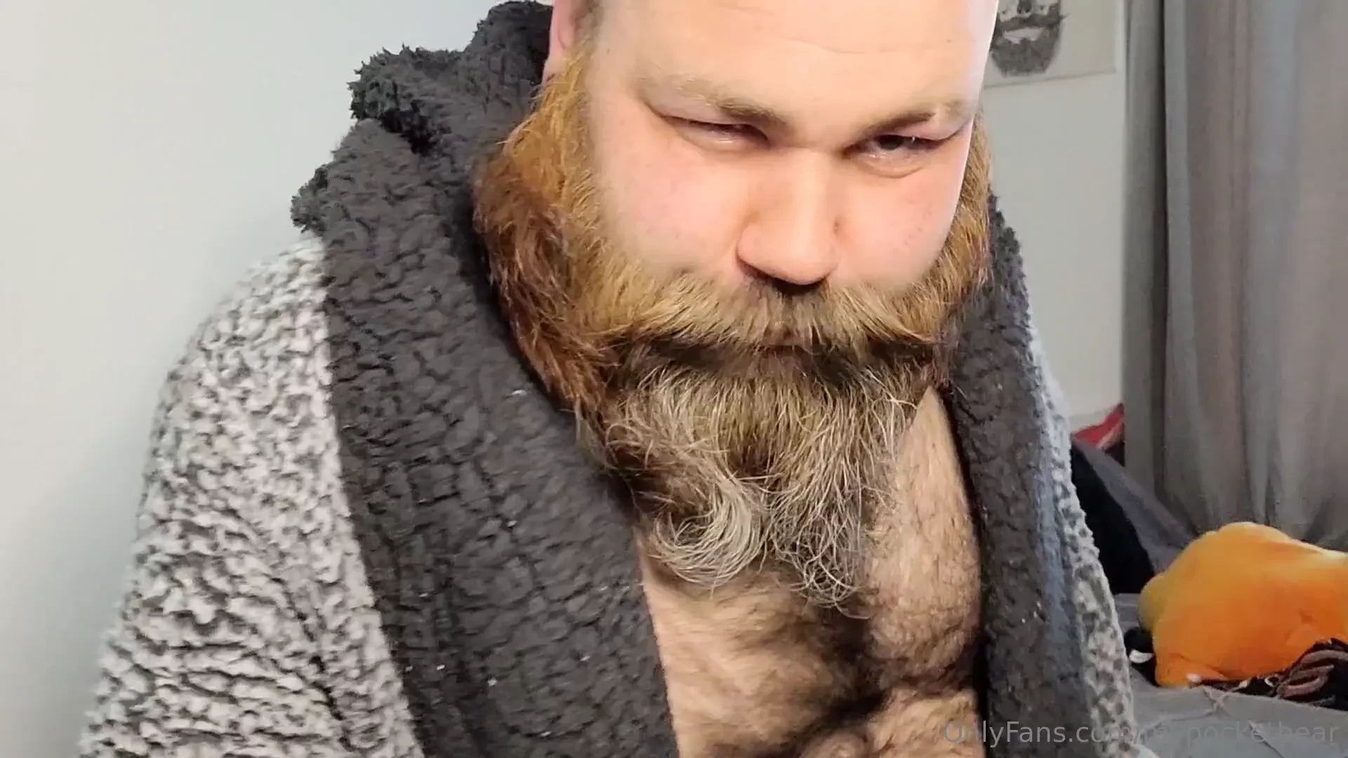 Welcome to season 2 of mypoketbear intro to season 2 schedule the 