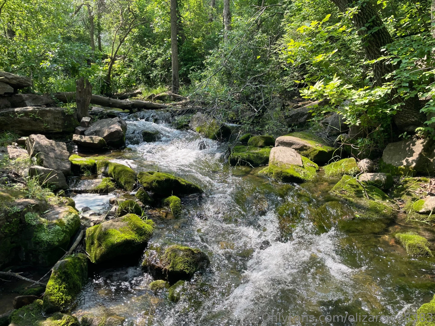 Had a blast swimming today 