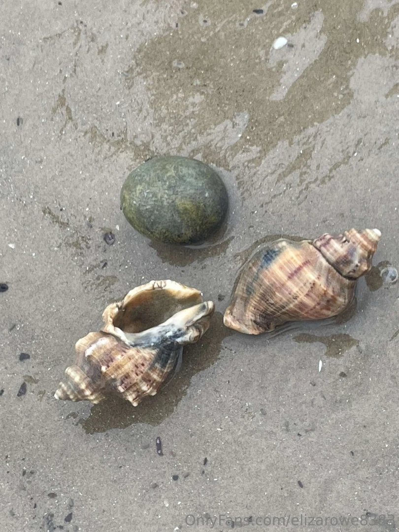 I bought one can t wait to get and set up its enclosure 