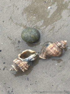 I bought one can t wait to get and set up its enclosure