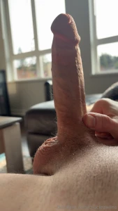 Sunlight makes things grow