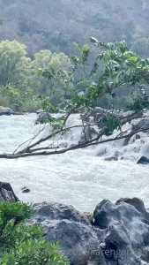 Quieres el desnudo deja un tip de 30 y lo tendr s en tu chat