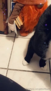 The kitty so cute