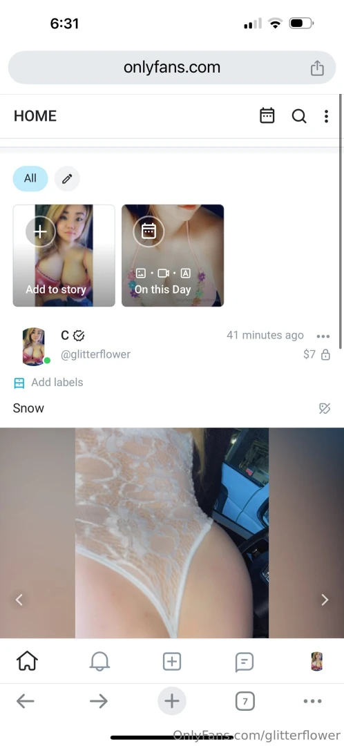 Snow post 