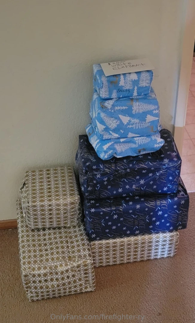 I hope everyone had a safe awesome christmas holiday yesterday just part 3 