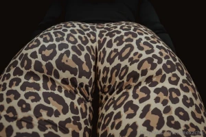 I know it s leopard but would you believe no one s ever called me a part 2