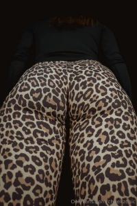 I know it s leopard but would you believe no one s ever called me a part 1