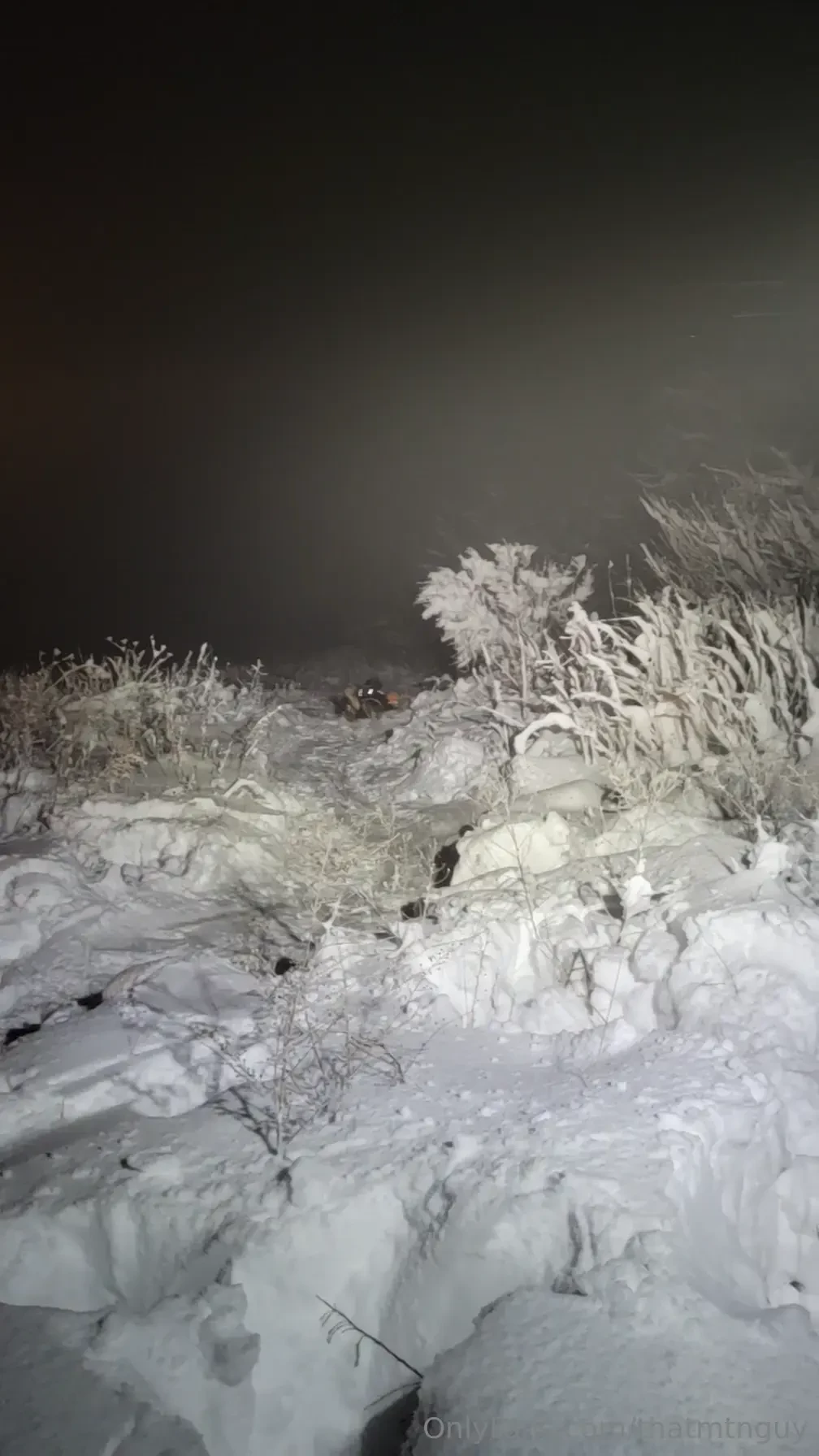 Always wild on the mtn on snowy nights 