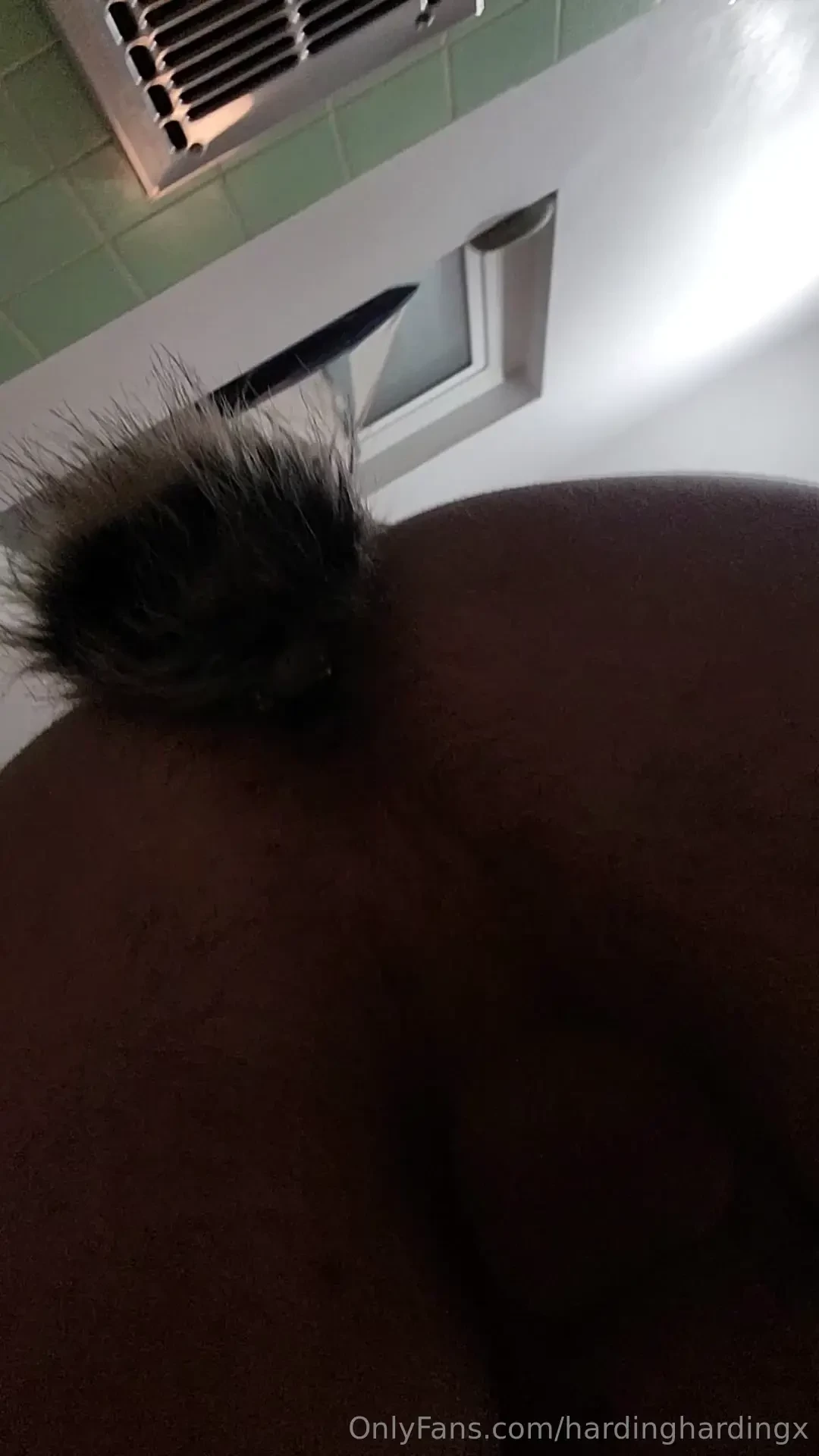 Racoon tail 