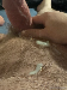 Isn t morning wood the best i don t know about you but i always find part 6