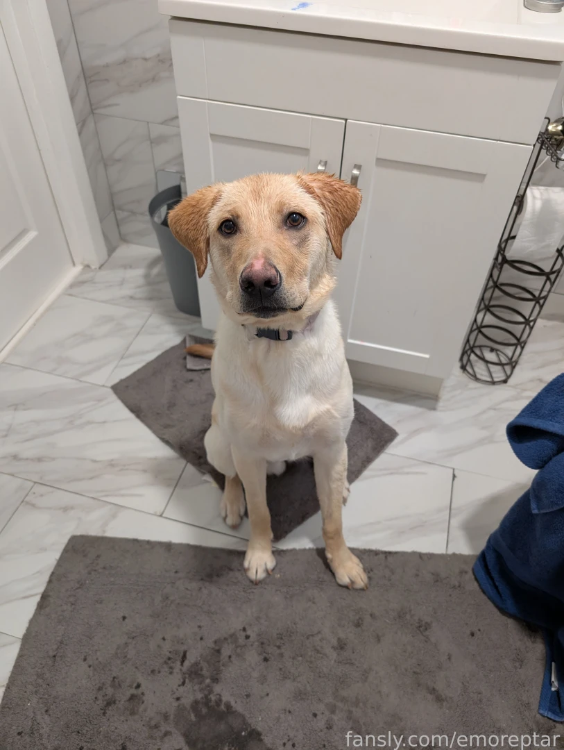 Don t you wish you were like griff and was able to hop into the shower 