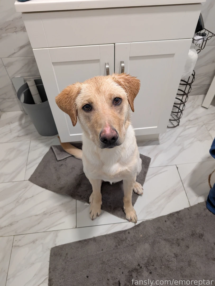 Don t you wish you were like griff and was able to hop into the shower part 2 